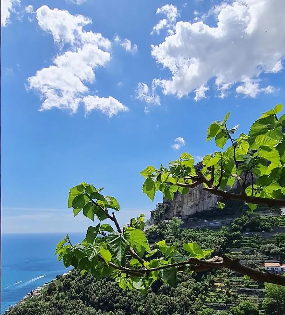 Lovely Amalfi Panoramic House With Garden Ferienhaus